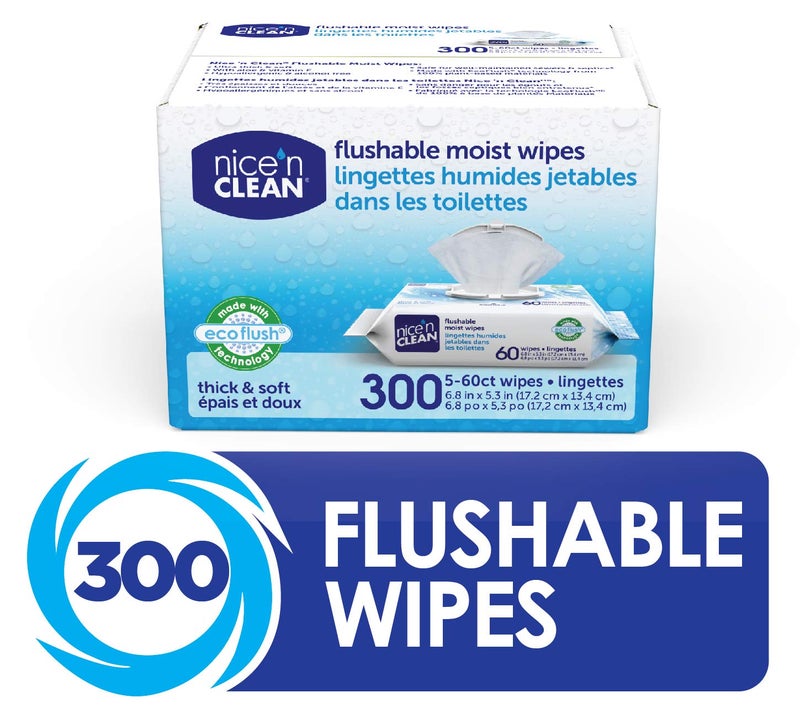 Nice 'N Clean Moist Flushable Wipes, Infused Aloe & Vitamin E, 60 Wipes (Pack of 5) - Image 1